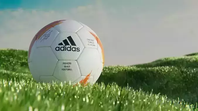 Football Grass Ground 3D model