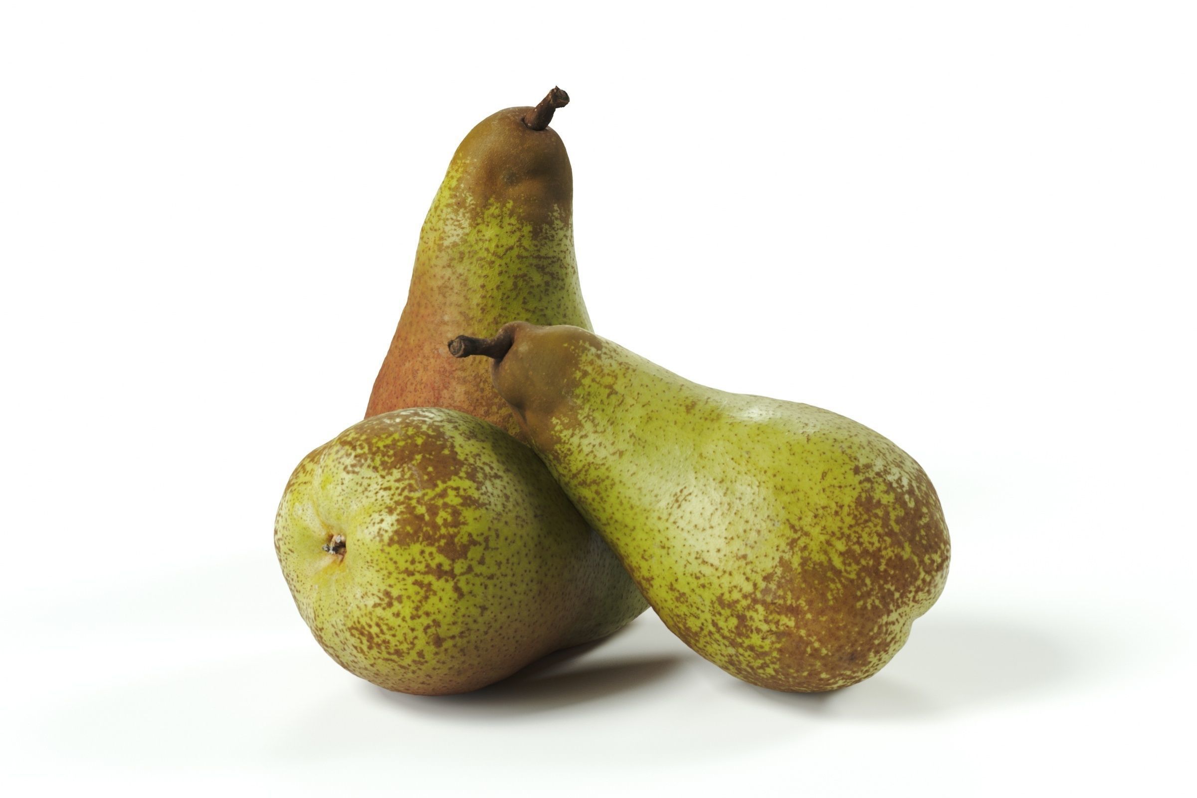 POLYPASTA - Pear 02 3D model_2