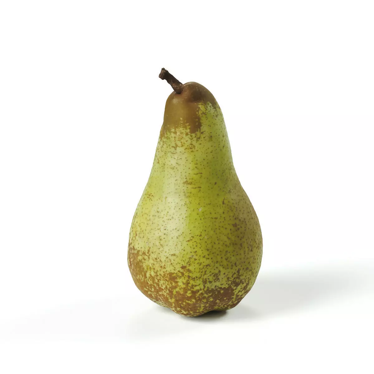 POLYPASTA - Pear 02 3D model_0