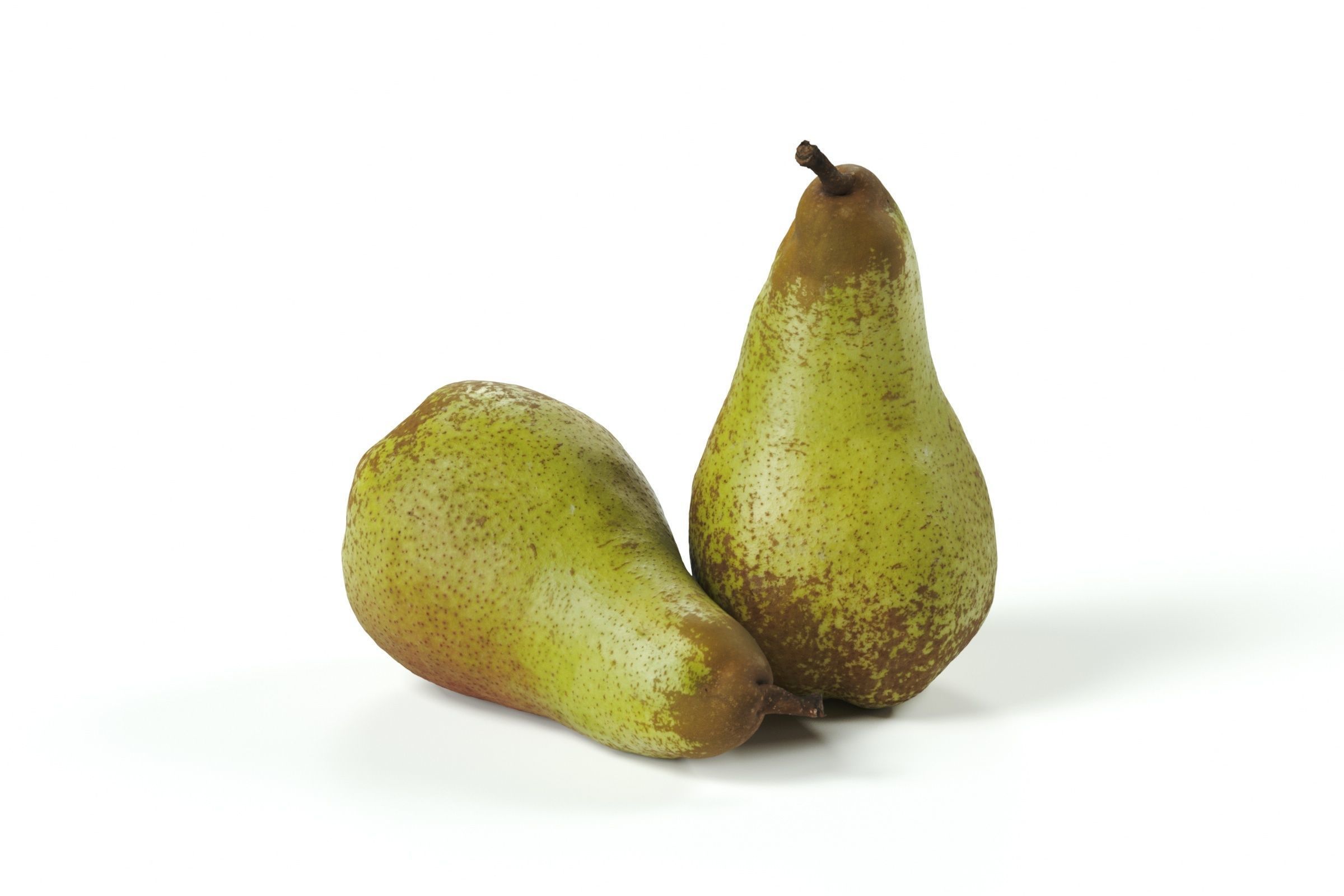 POLYPASTA - Pear 02 3D model_3