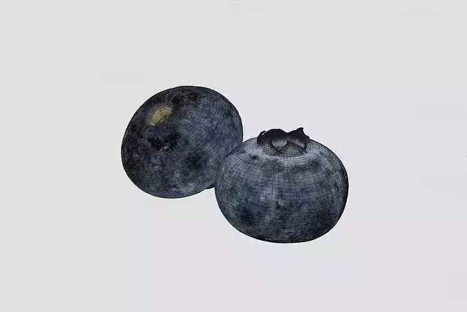 POLYPASTA - Blueberry 01 3D model 7
