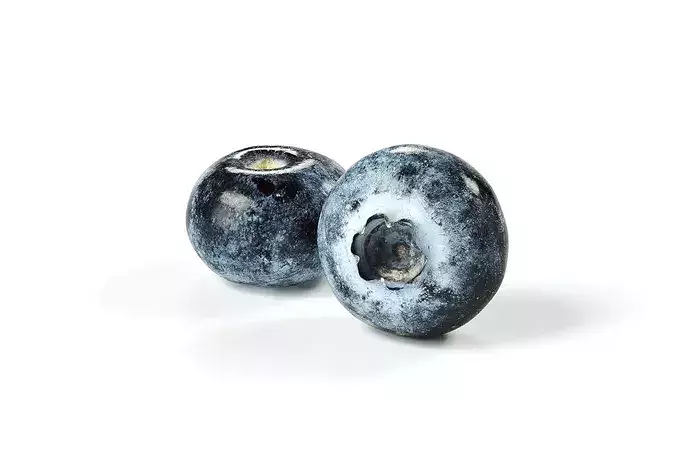 POLYPASTA - Blueberry 01 3D model 4