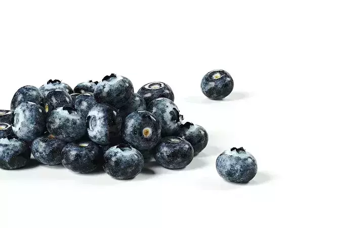 POLYPASTA - Blueberry 01 3D model