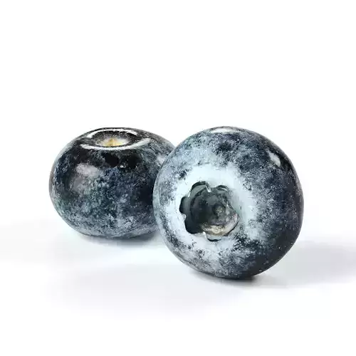 POLYPASTA - Blueberry 01 3D model