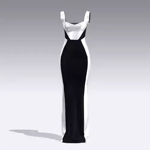 BLACK AND WHITE LOOK DRESS  MODERN LONG LOOK