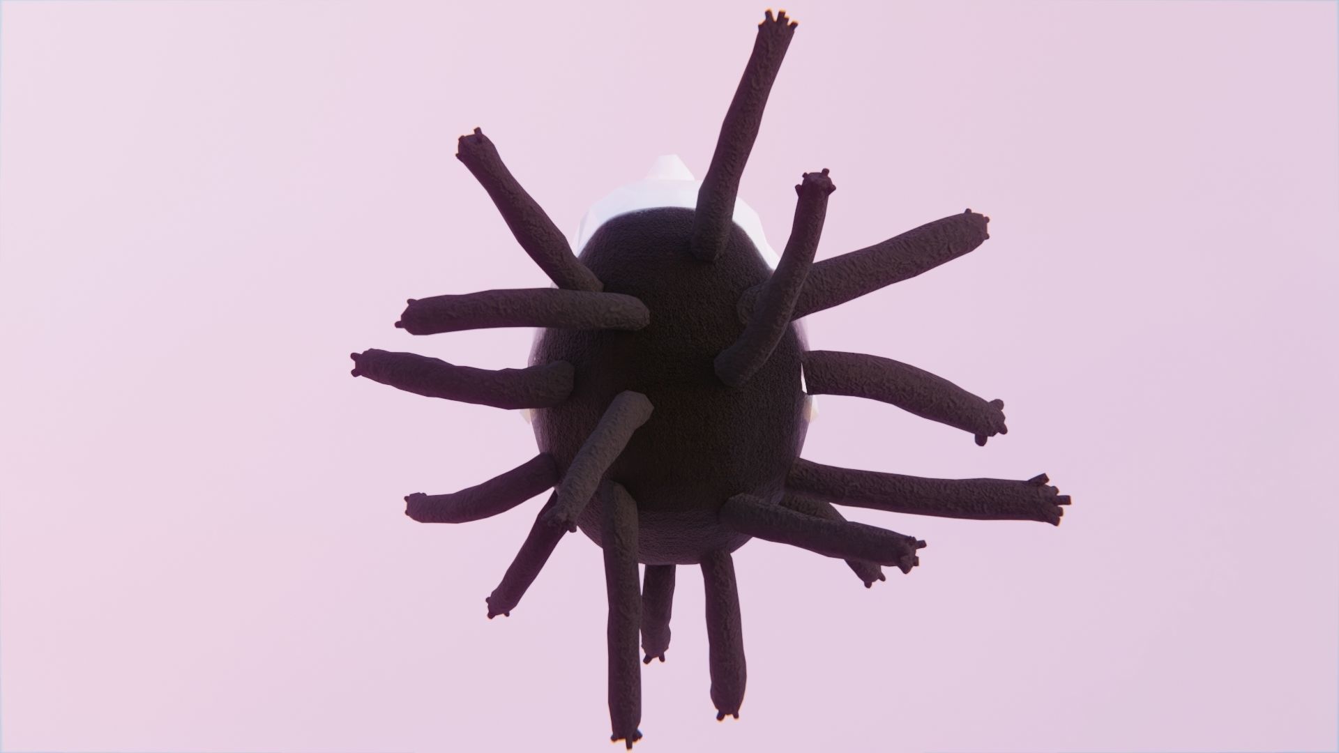 Wick Locs Low-poly 3D model_3