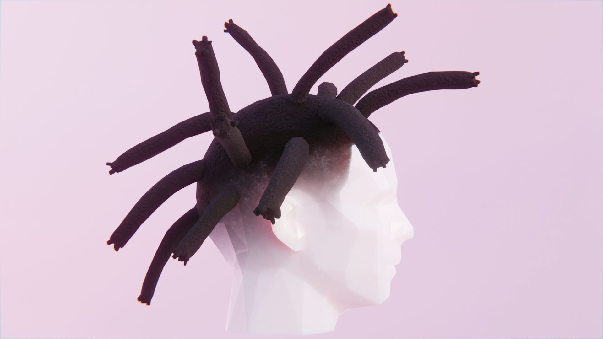 Wick Locs Low-poly 3D model_1