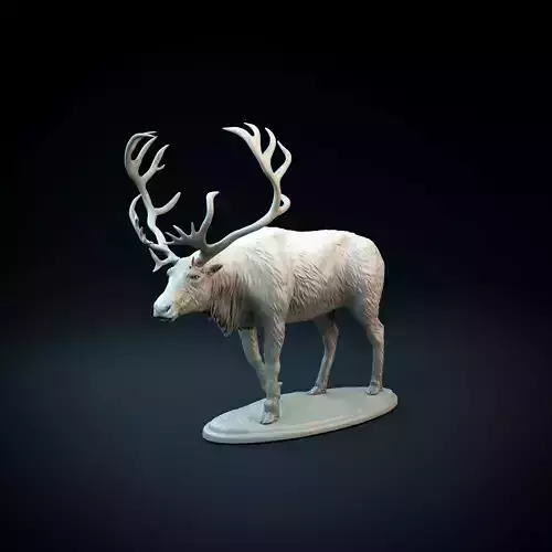 Reindeer intended for 3D printing 3D print model
