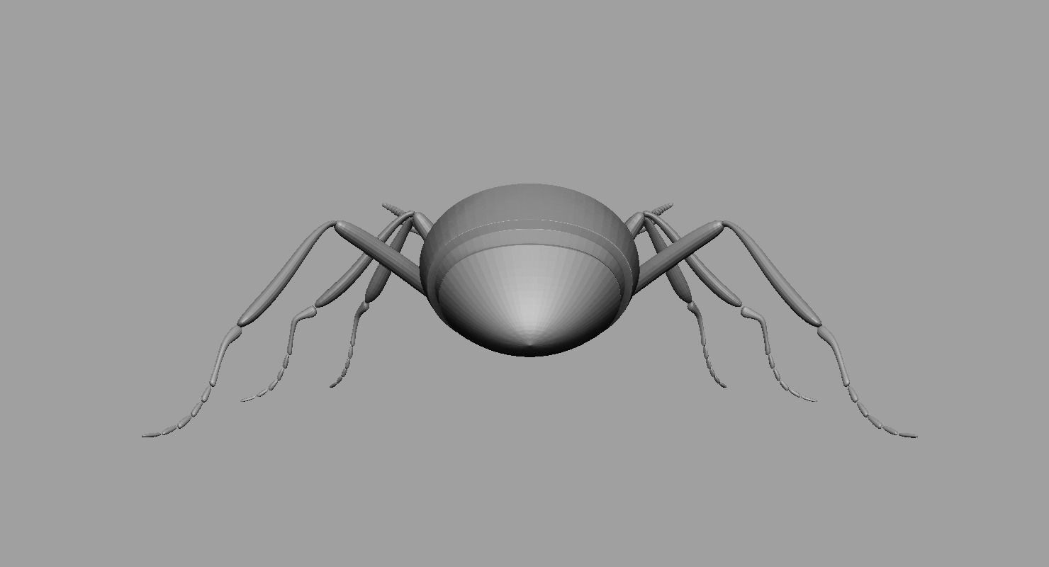 Ant Ant 3D model_7