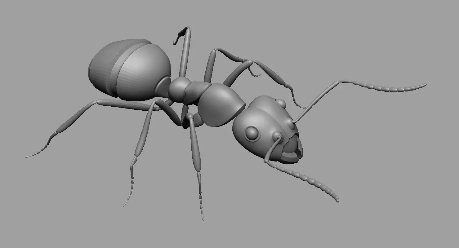 Ant Ant 3D model_0