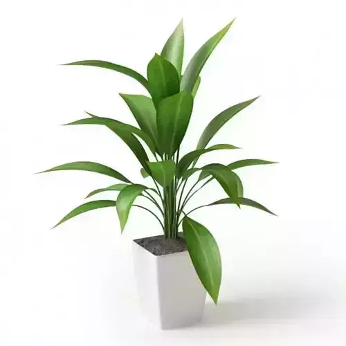 Leafy Potted Plant