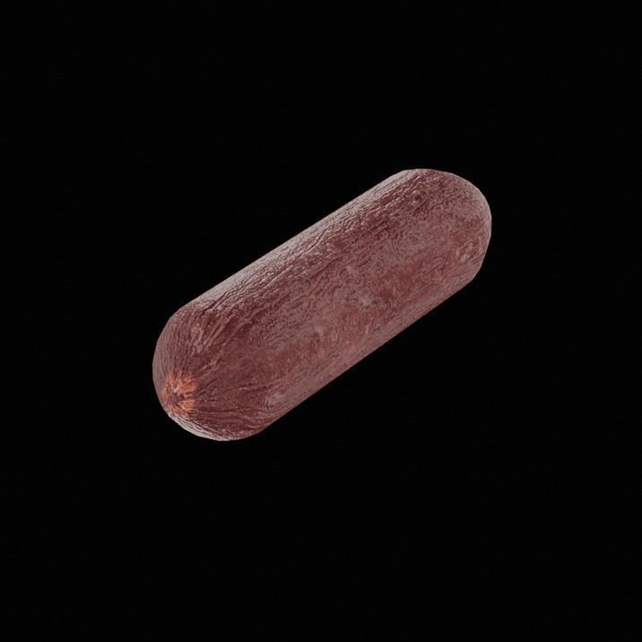 Dry Salami 3D model_4