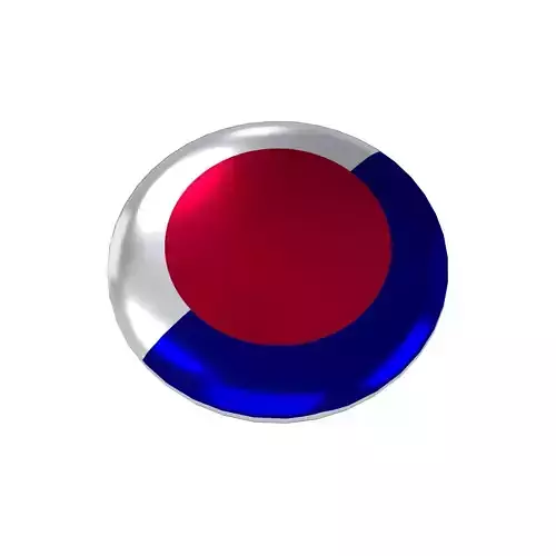 Pin Buttons 41 Japan Customs Flag