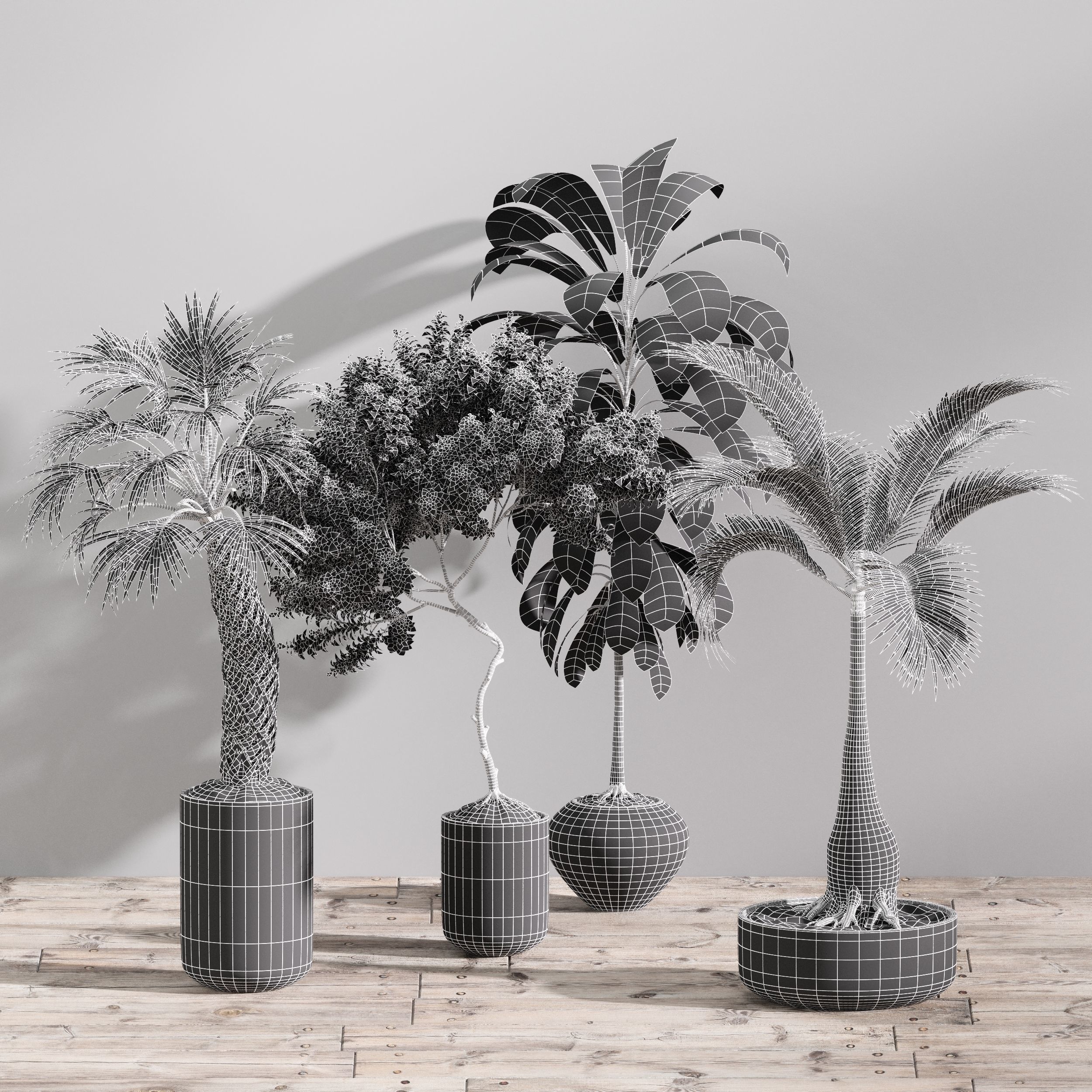 SET01 Indoor Plant Tree Leaf 3D model_4