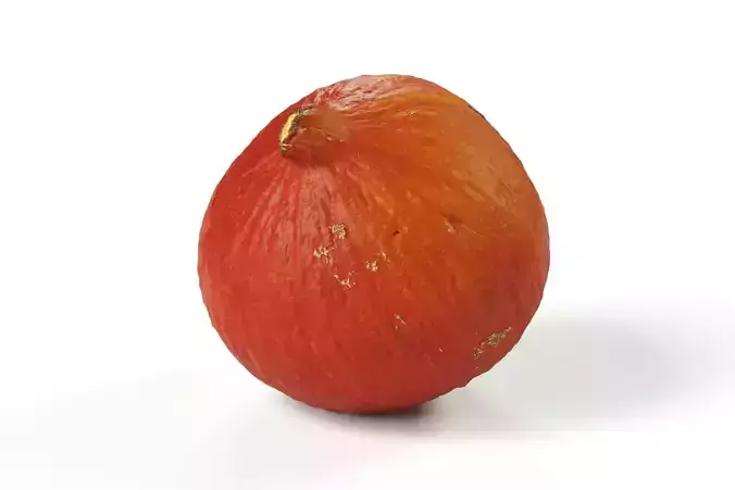 POLYPASTA - Pumpkin 05