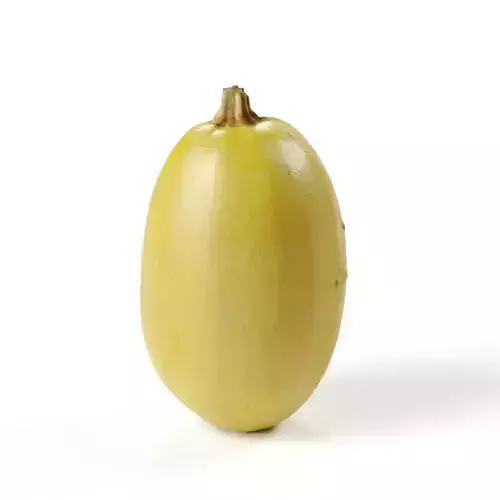 POLYPASTA - Pumpkin 04