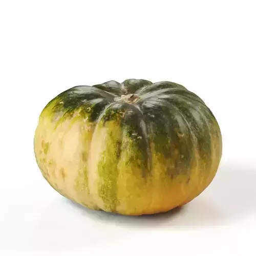 POLYPASTA - Pumpkin 02