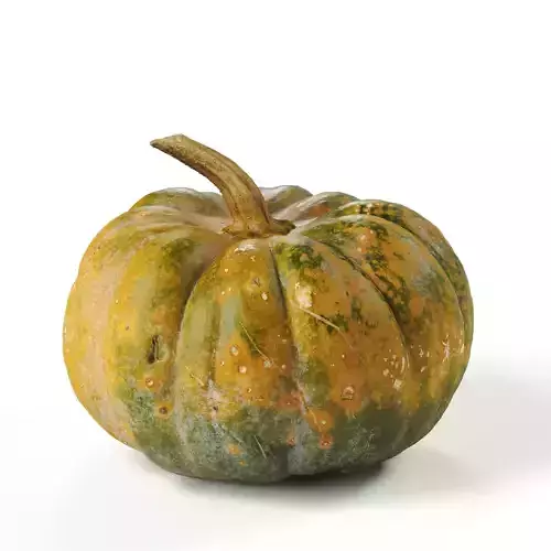 POLYPASTA - Pumpkin 01