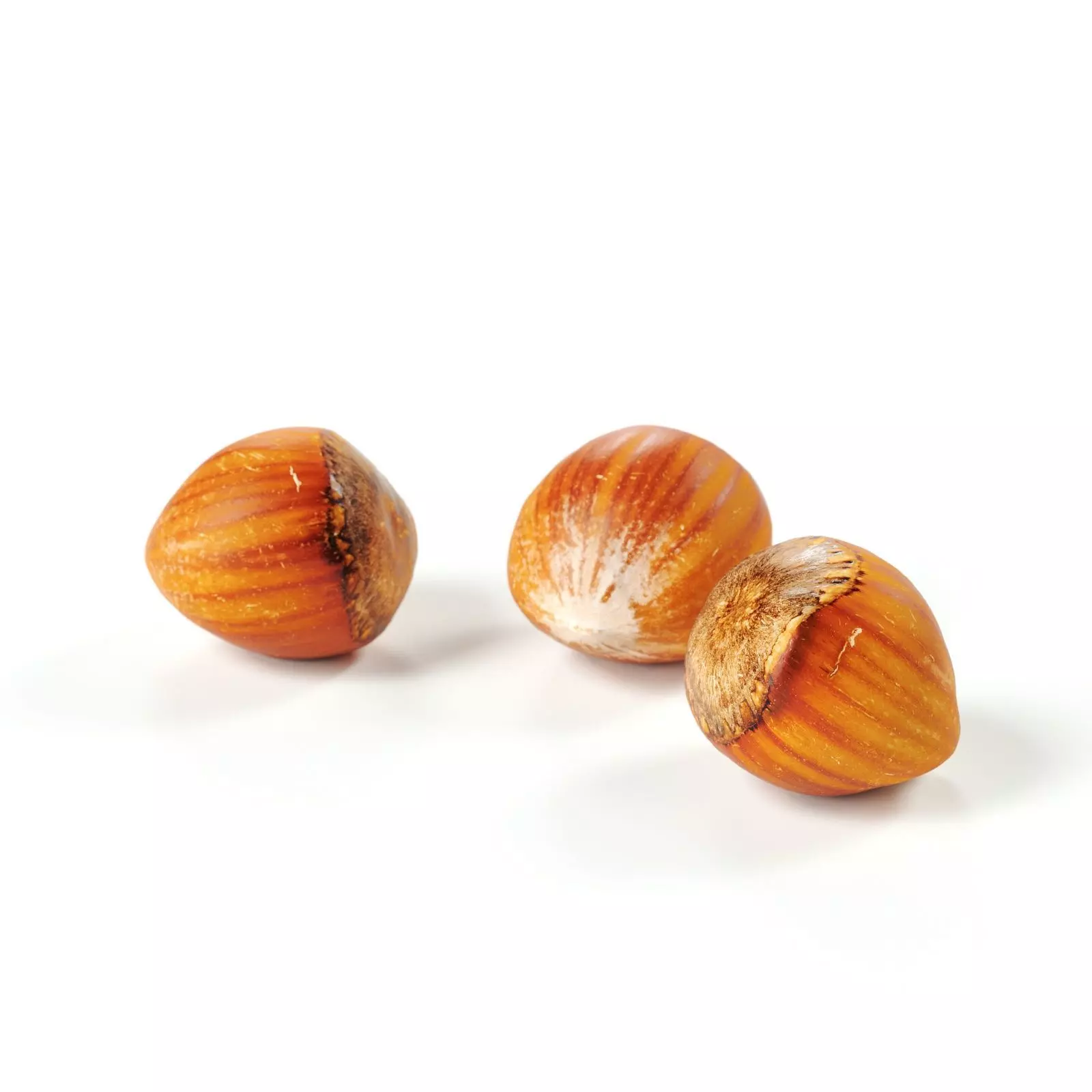 POLYPASTA - Hazelnut 01 3D model