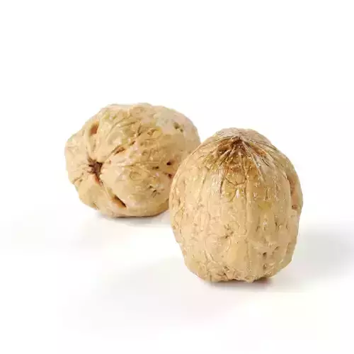 POLYPASTA - Walnut 01