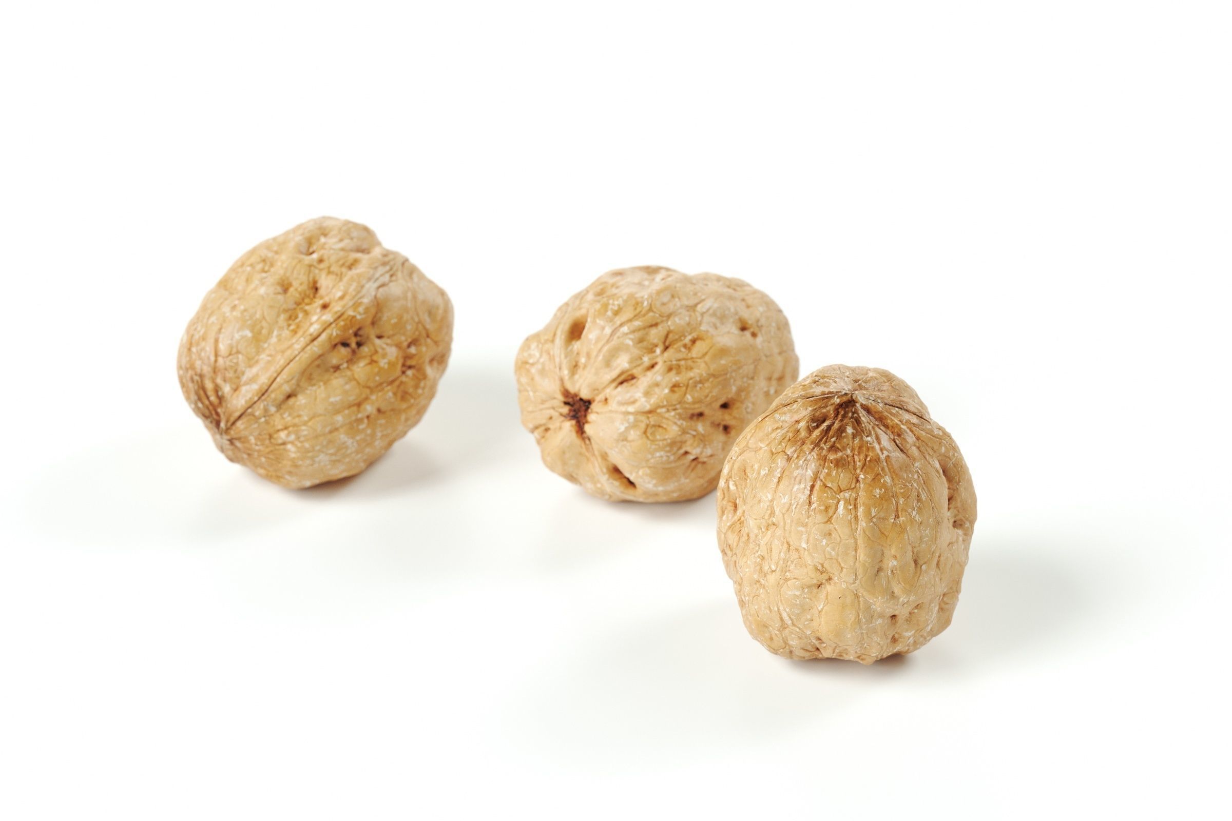 POLYPASTA - Walnut 01 3D model_2