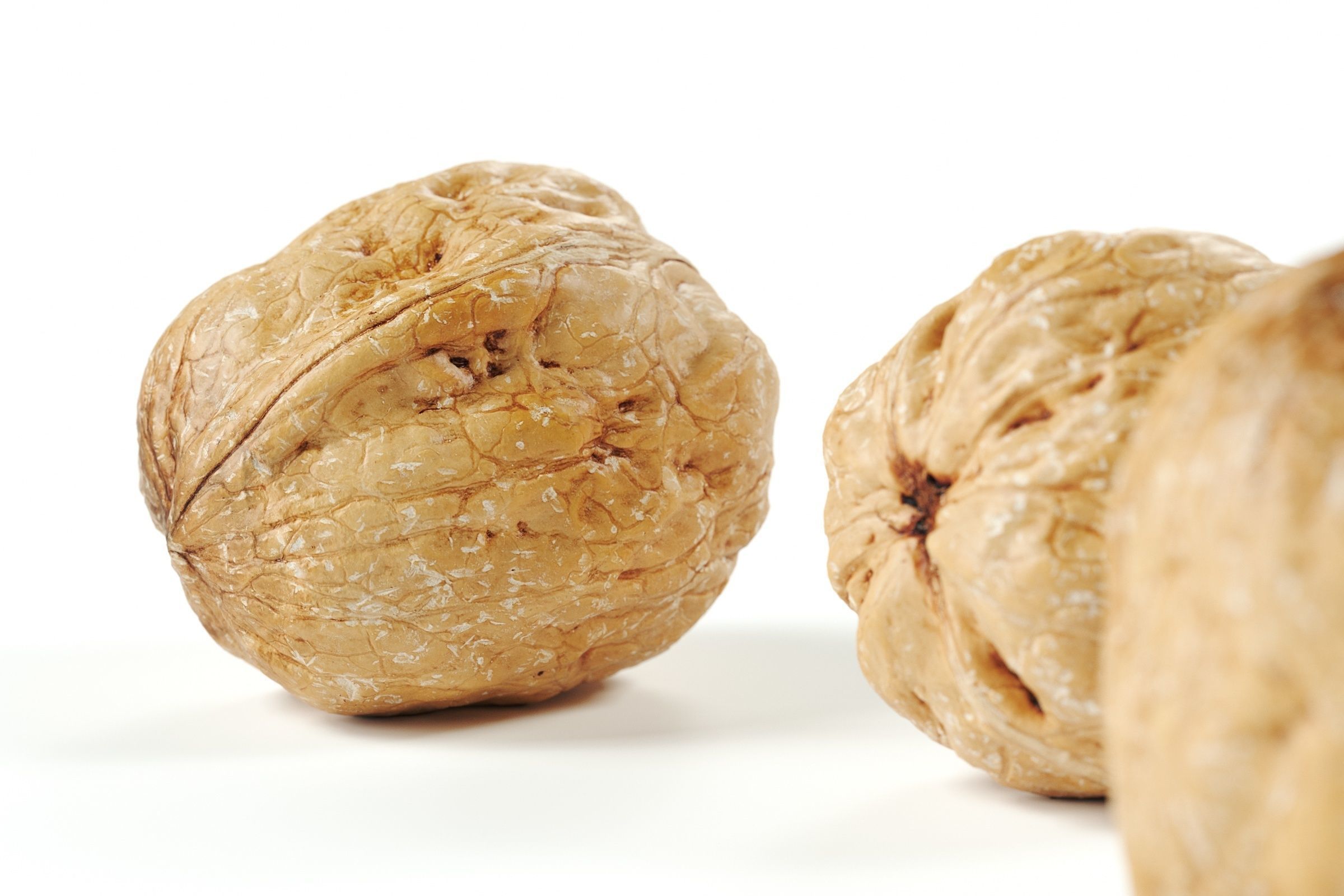 POLYPASTA - Walnut 01 3D model_3