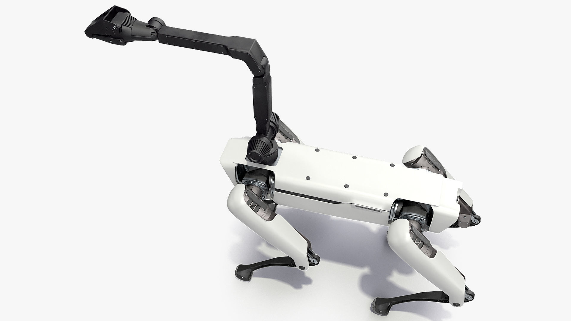 Dog Robot Generic Rigged 3D model_13