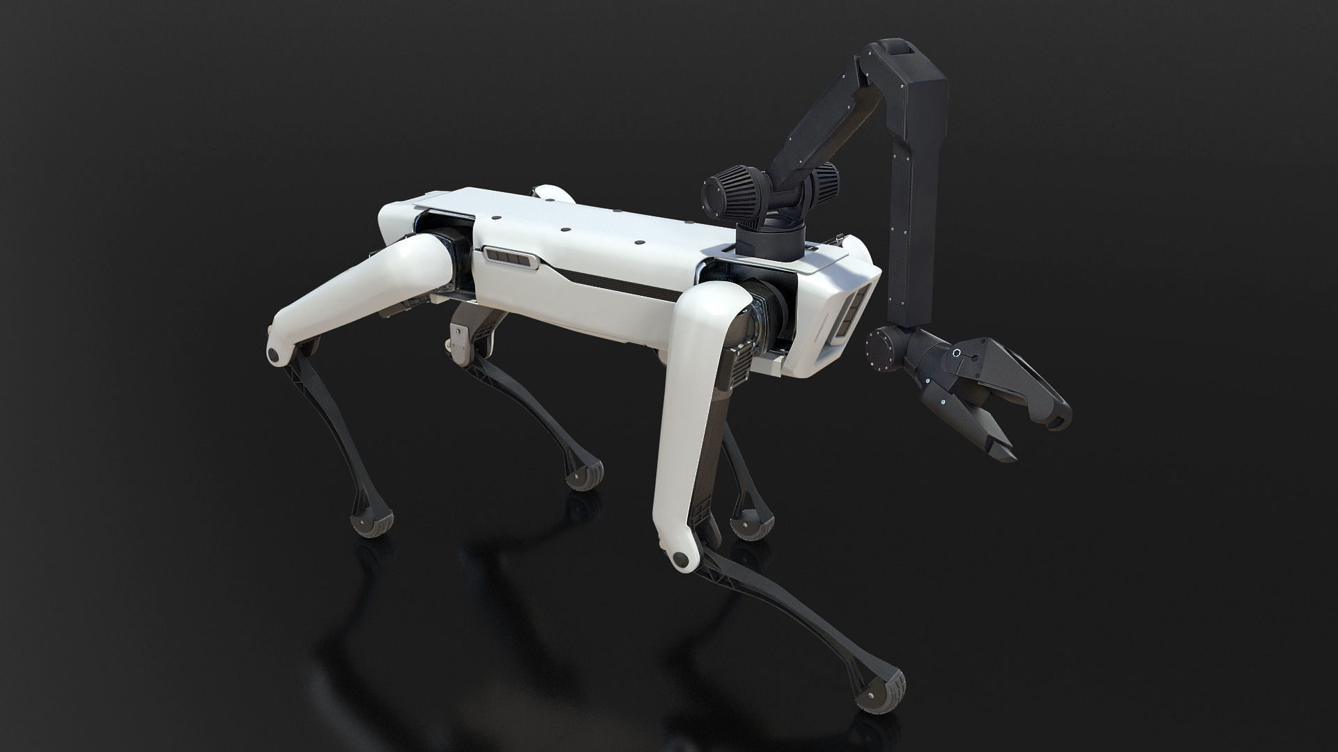 Dog Robot Generic Rigged 3D model_1