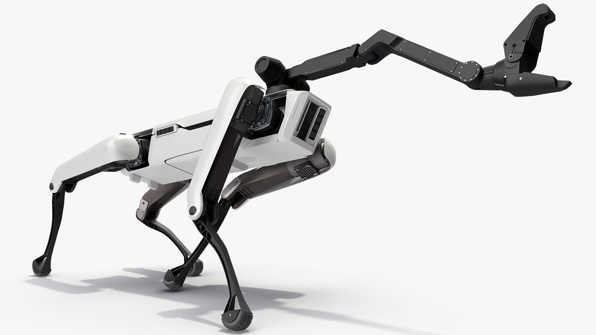 Dog Robot Generic Rigged 3D model_7