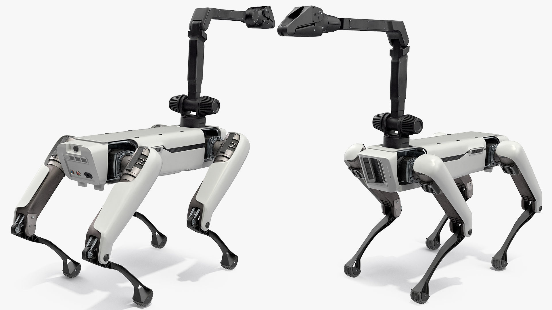 Dog Robot Generic Rigged 3D model_6