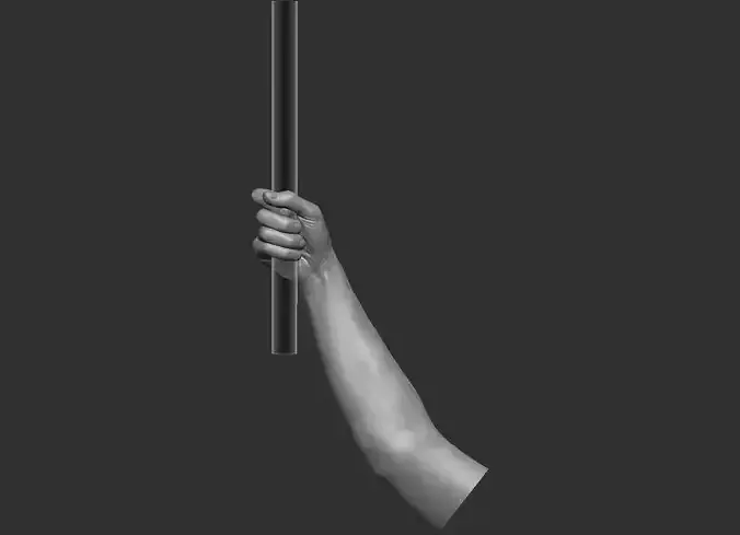 Hand holding a cylinder stick 3D Printable model 3D print model Hand holding a cylinder stick 3D Printable model 3D print model