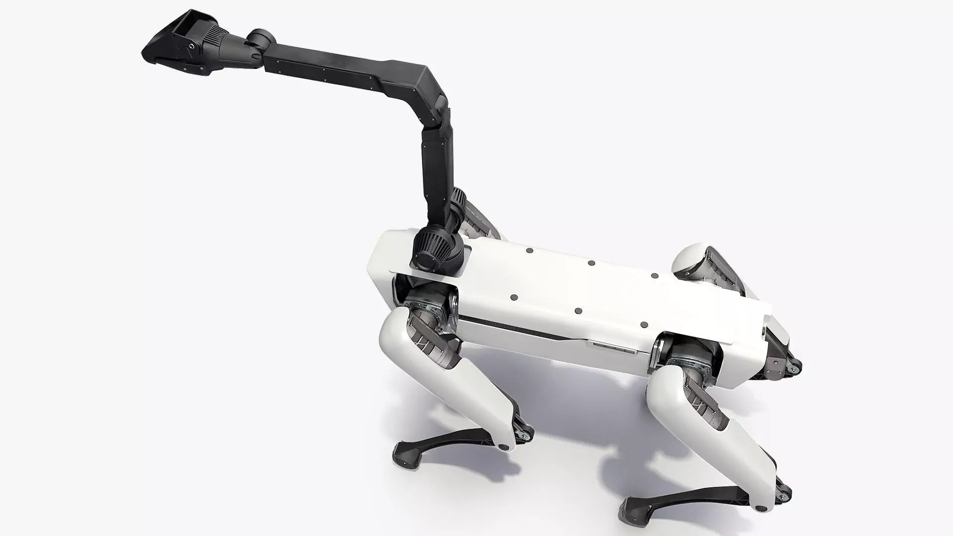 Dog Robot Generic Rigged for Blender 3D model
