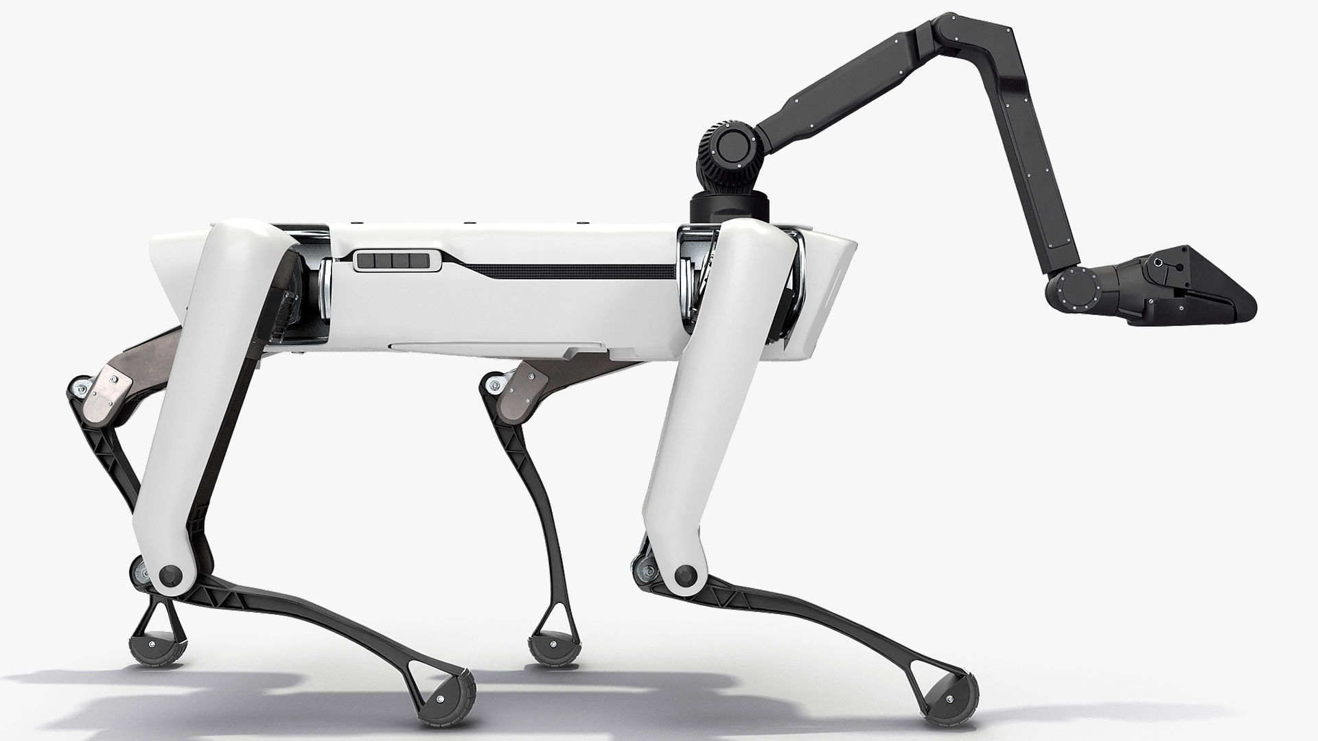 Dog Robot Generic Rigged for Cinema 4D 3D model_14