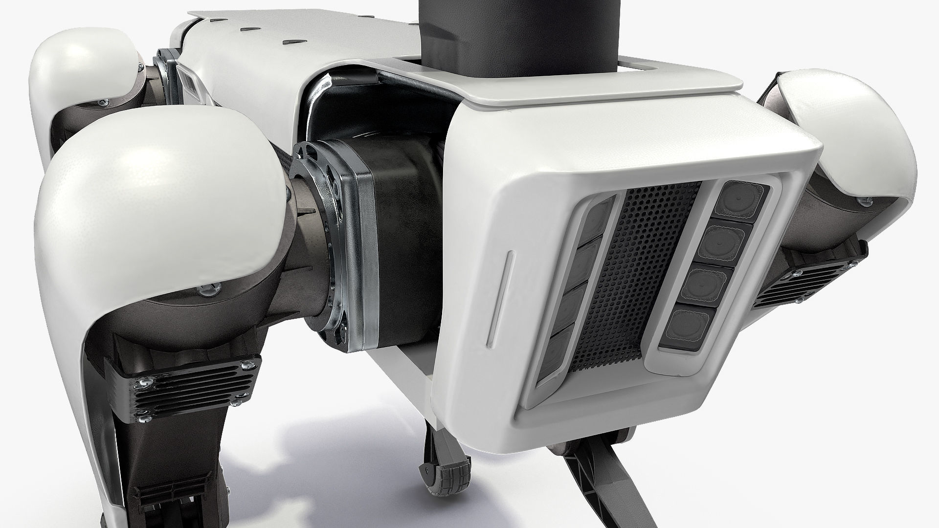 Dog Robot Generic Rigged for Cinema 4D 3D model_25