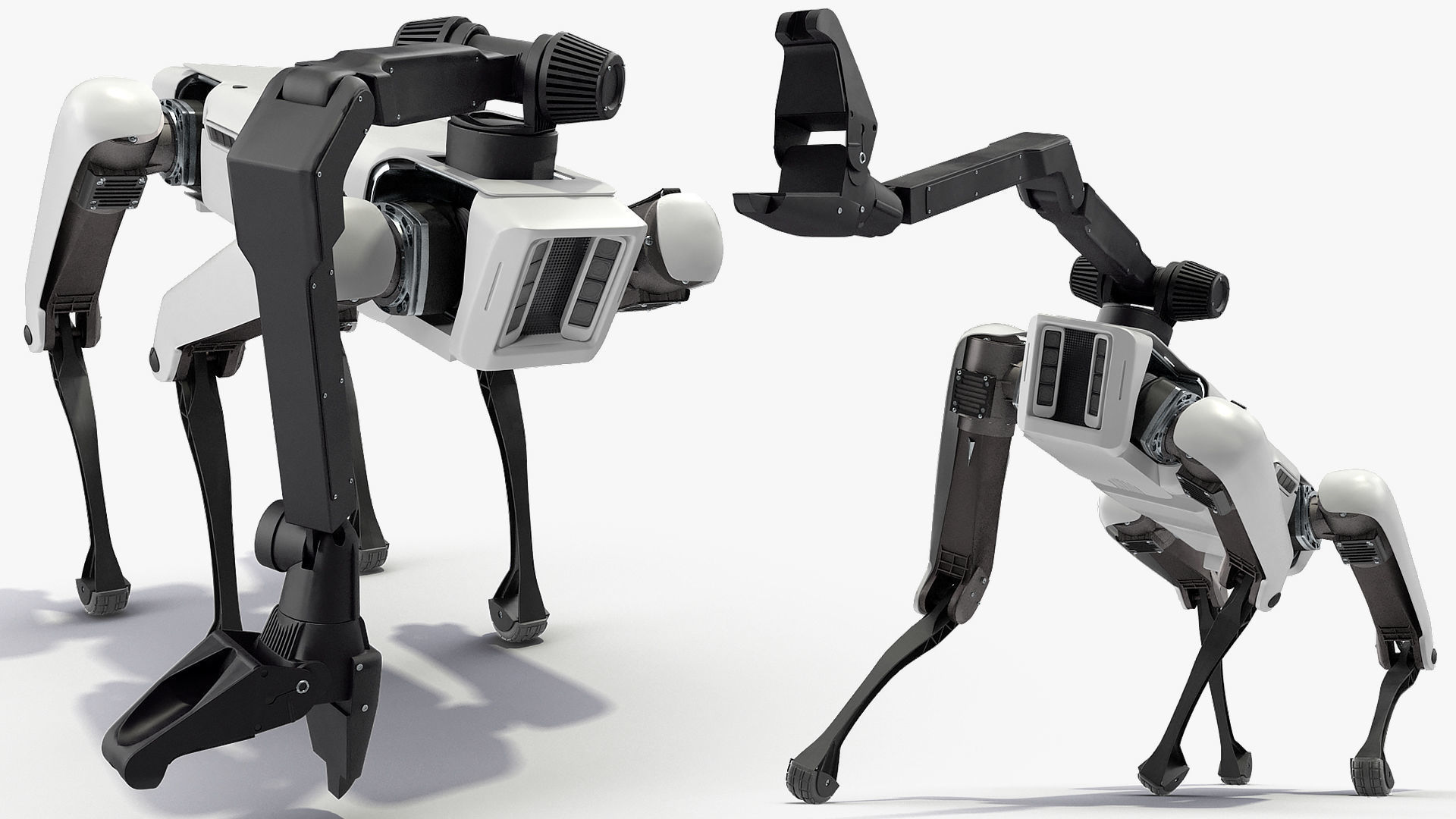 Dog Robot Generic Rigged for Cinema 4D 3D model_11