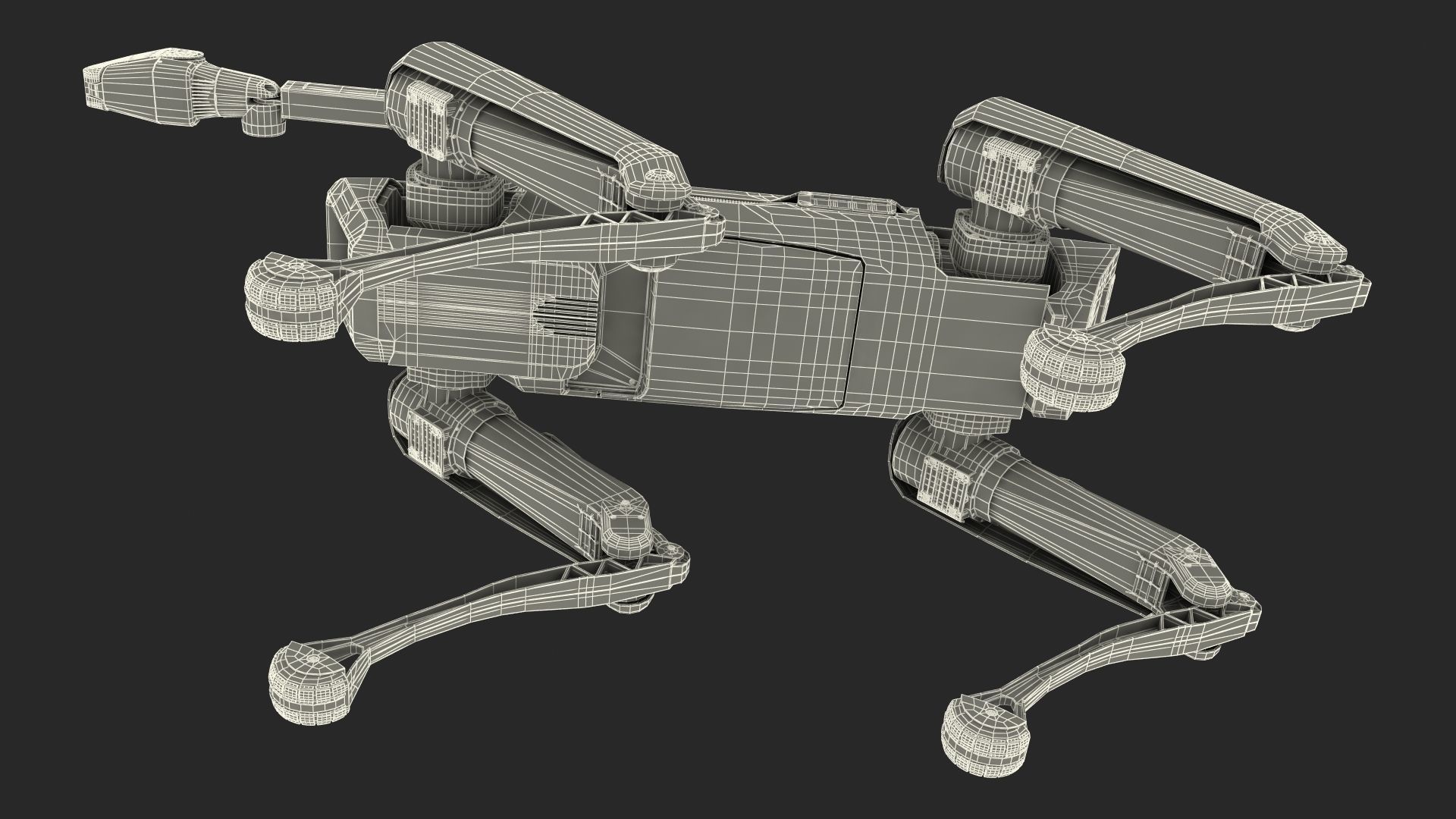 Dog Robot Generic Rigged for Cinema 4D 3D model_7