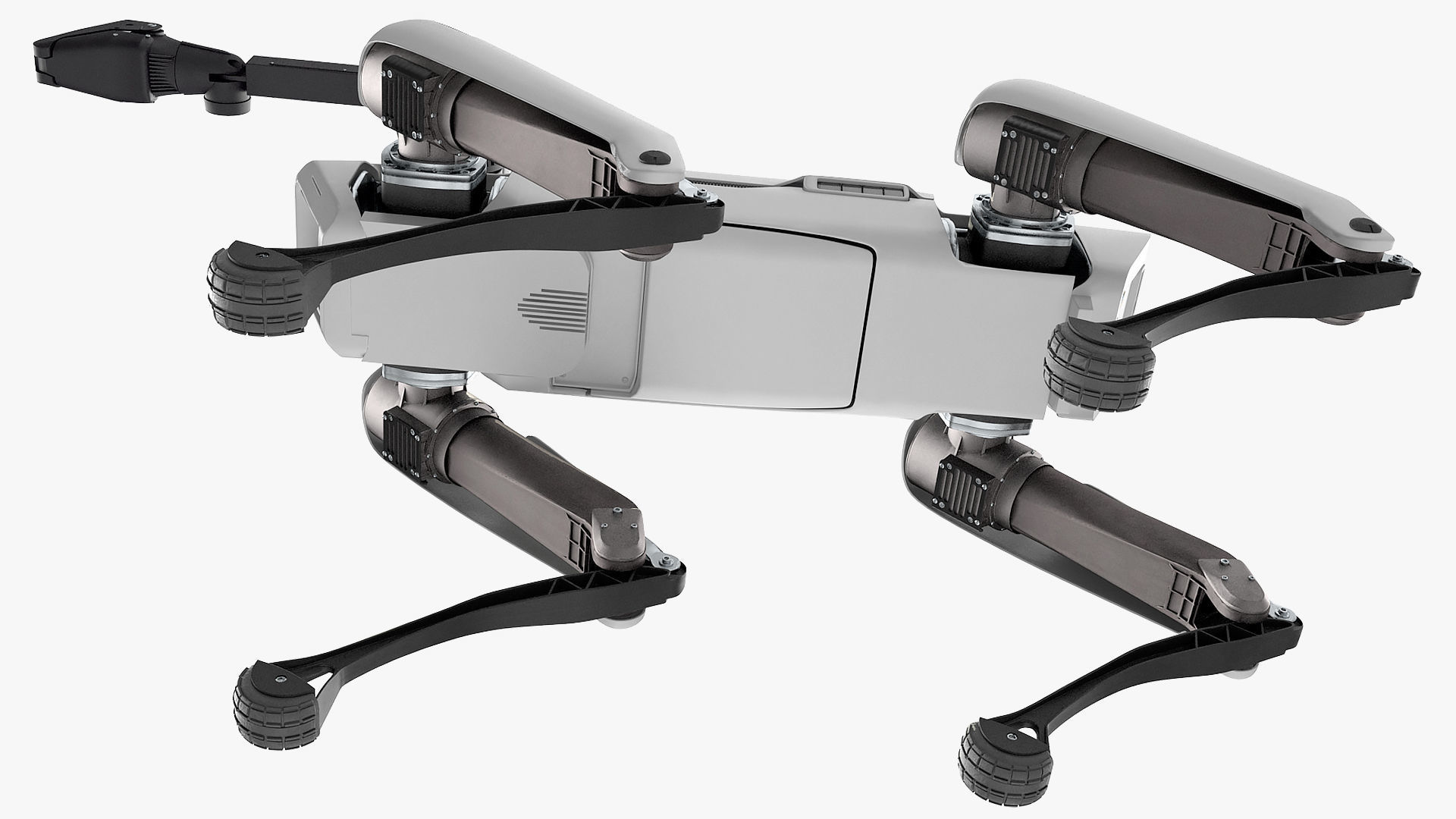 Dog Robot Generic Rigged for Cinema 4D 3D model_12