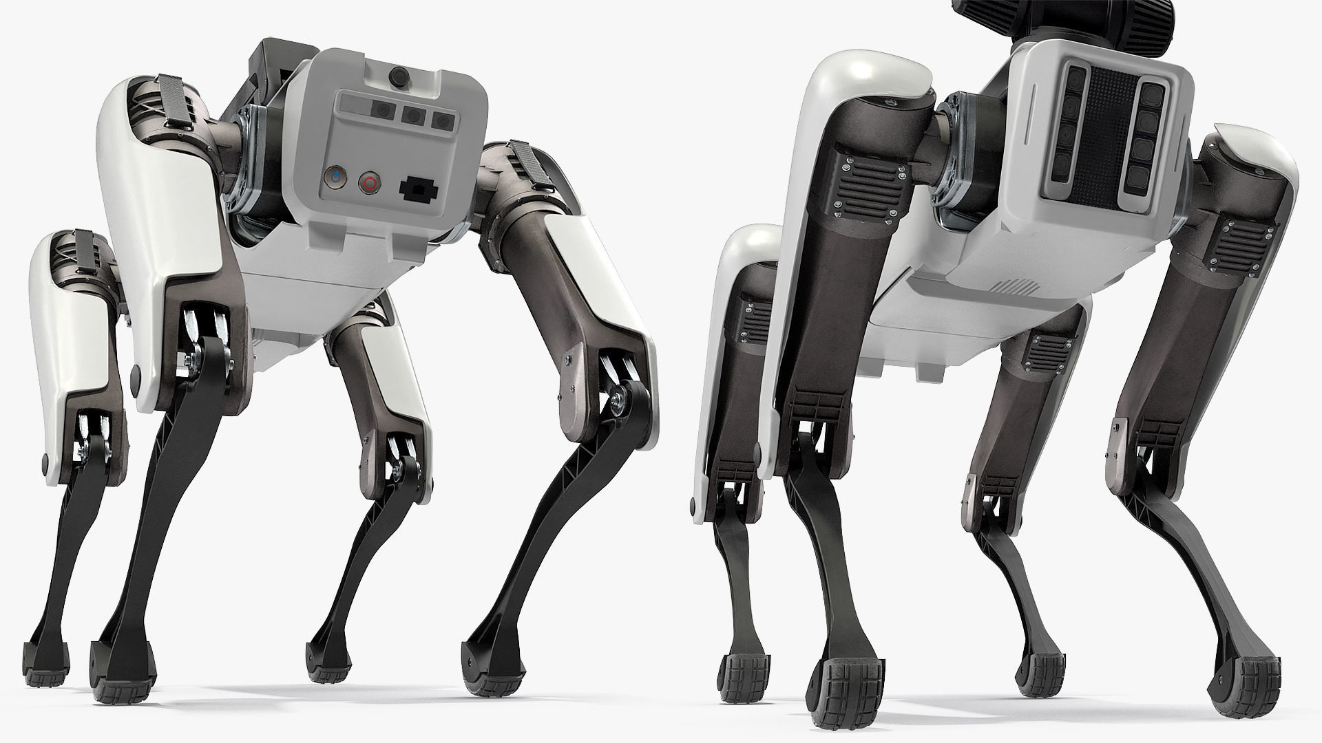 Dog Robot Generic Rigged for Cinema 4D 3D model_17