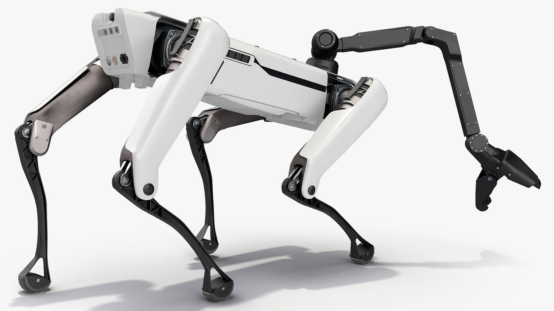 Dog Robot Generic Rigged for Cinema 4D 3D model_30