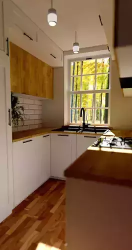  Small kitchen  3D model