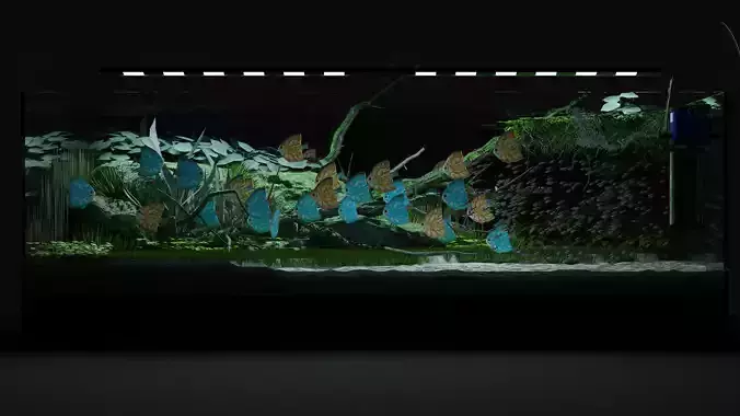 Aquarium fish tank with plants in it