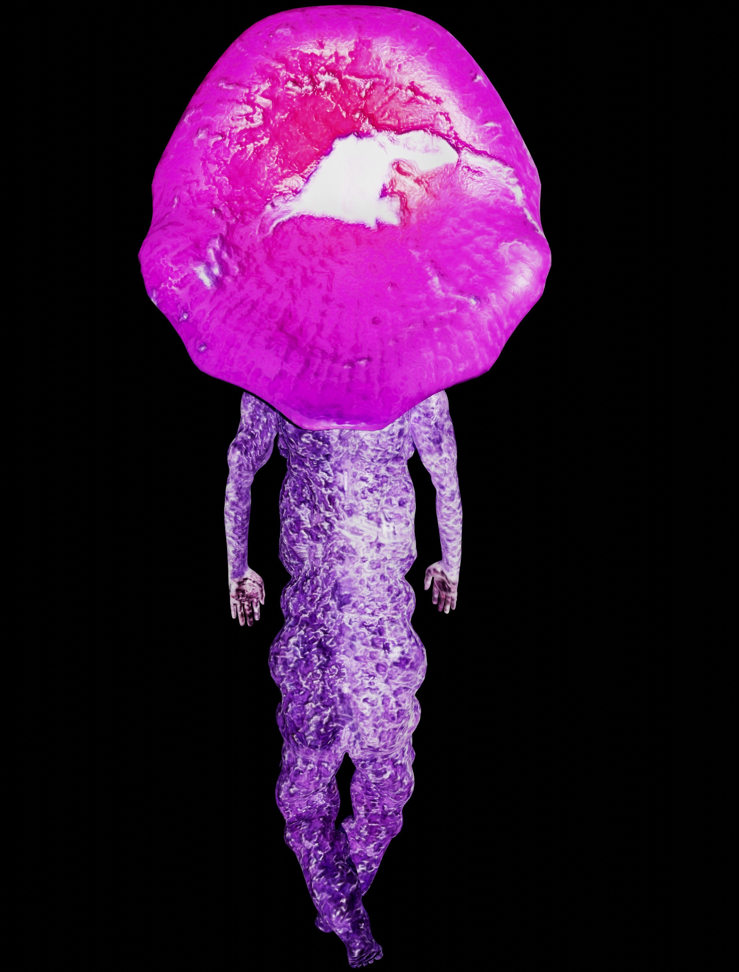 Mushrowoman - Grzybiara - No3  Low-poly 3D model_6