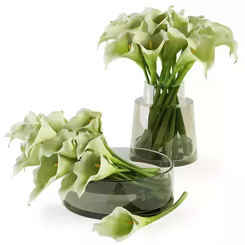 Calla lilies bouquets  3D model