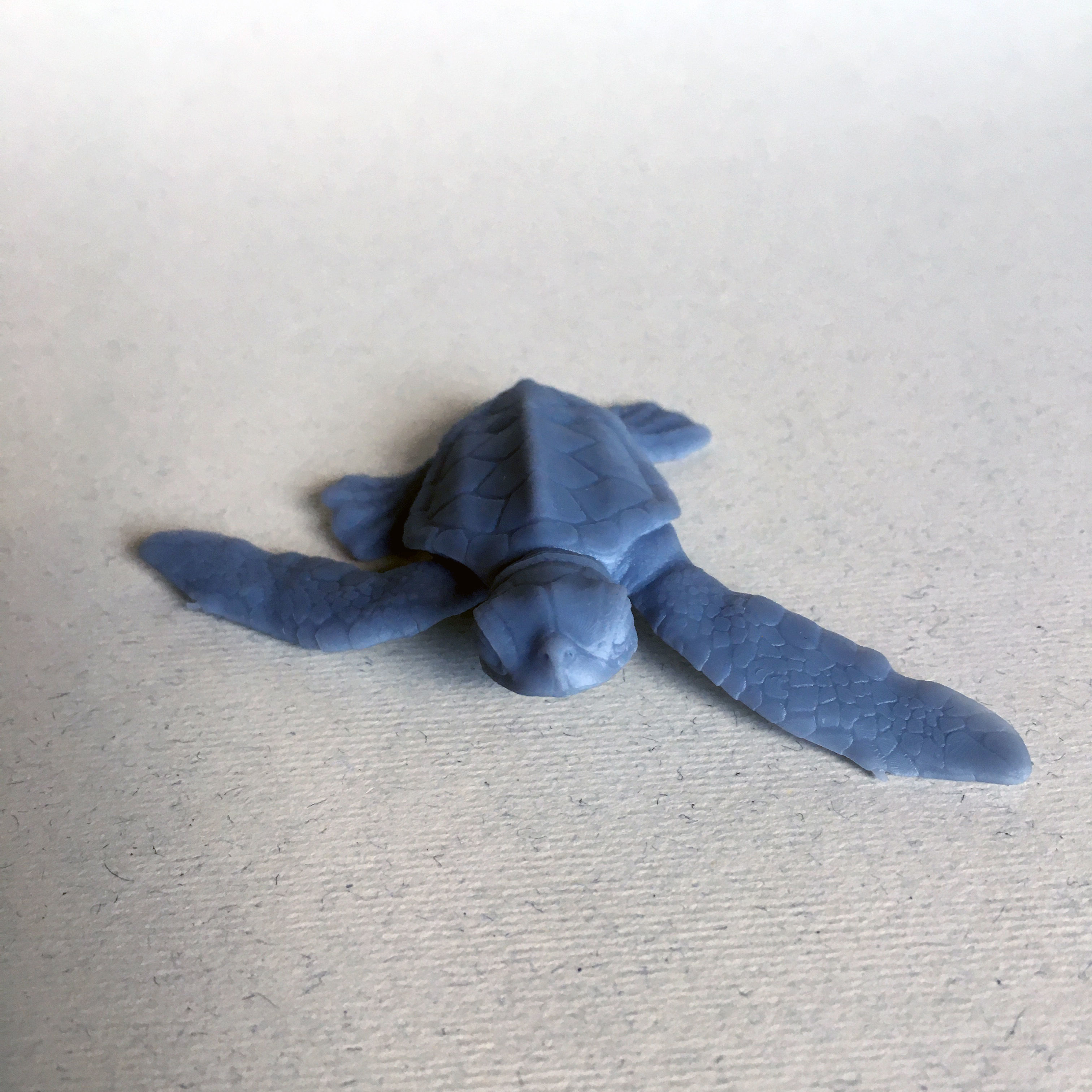 Sea Turtle Hatchling for 3D printing 3D print model_3