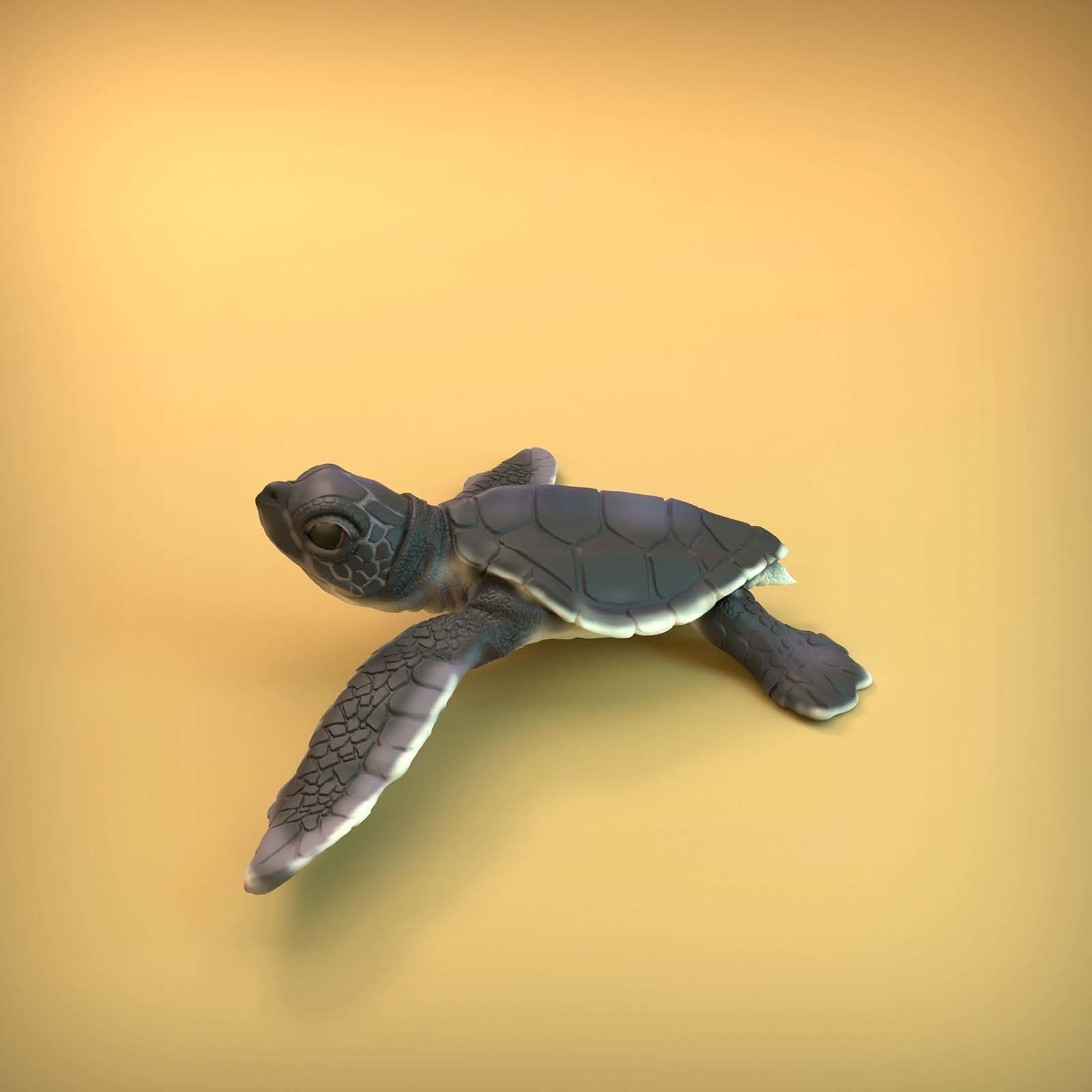 Sea Turtle Hatchling for 3D printing 3D print model_8