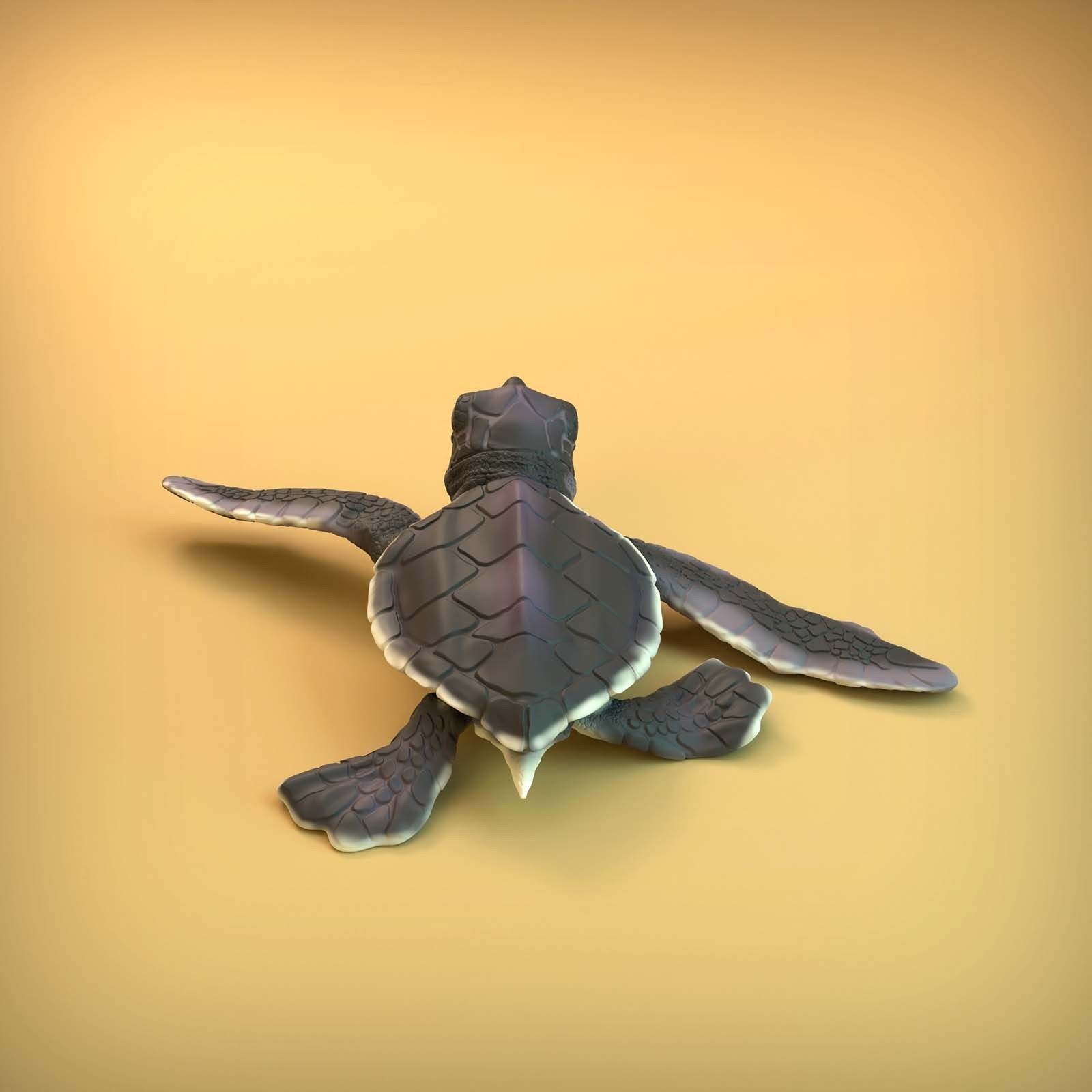 Sea Turtle Hatchling for 3D printing 3D print model_6