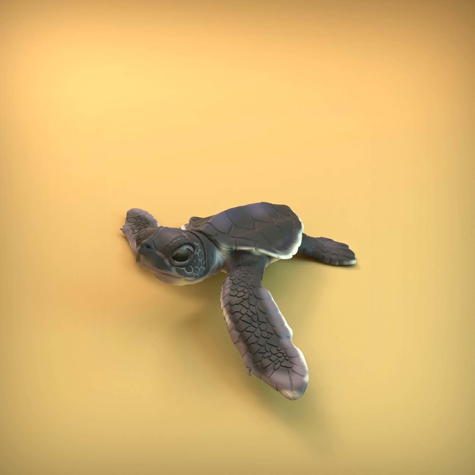 Sea Turtle Hatchling for 3D printing 3D print model_9