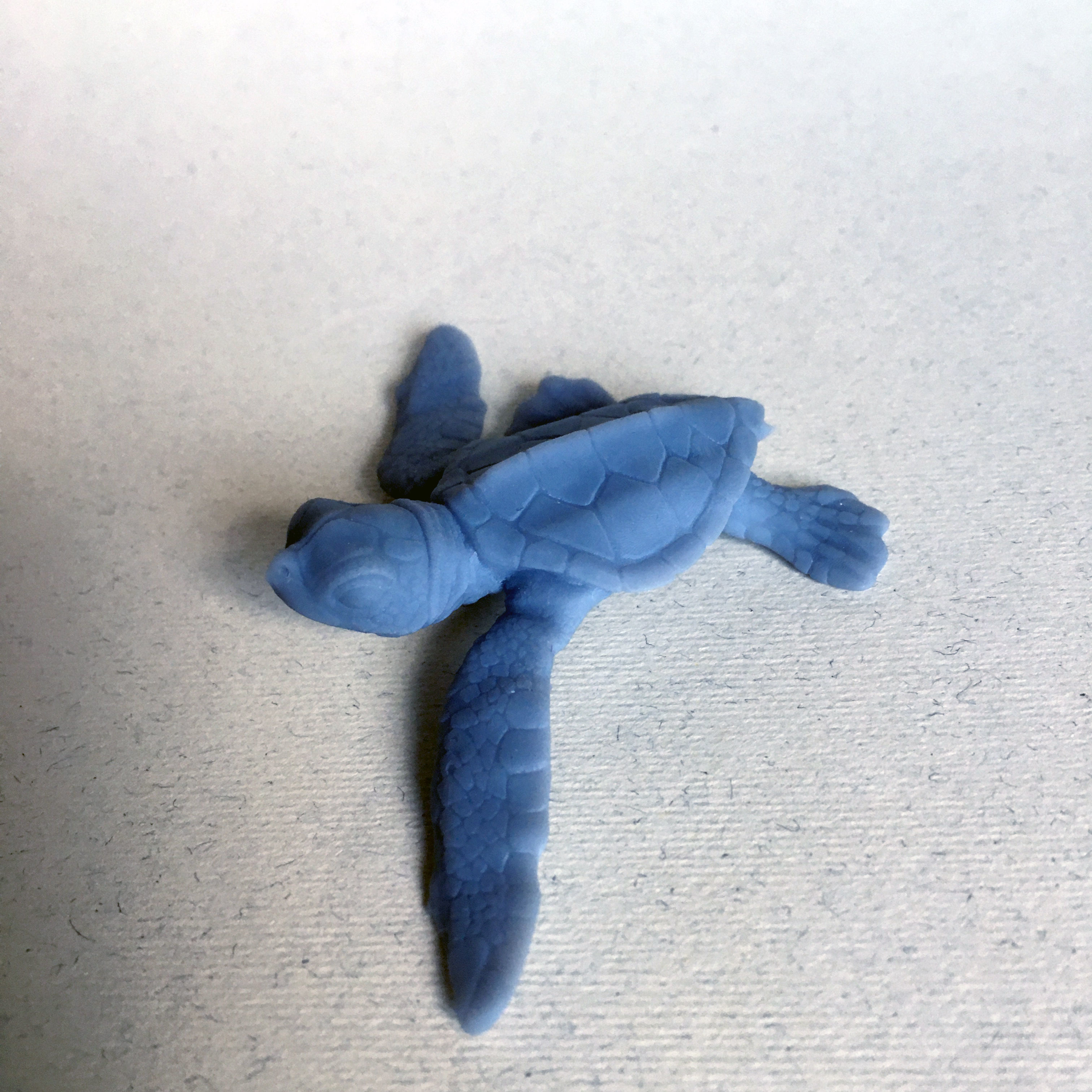 Sea Turtle Hatchling for 3D printing 3D print model_1