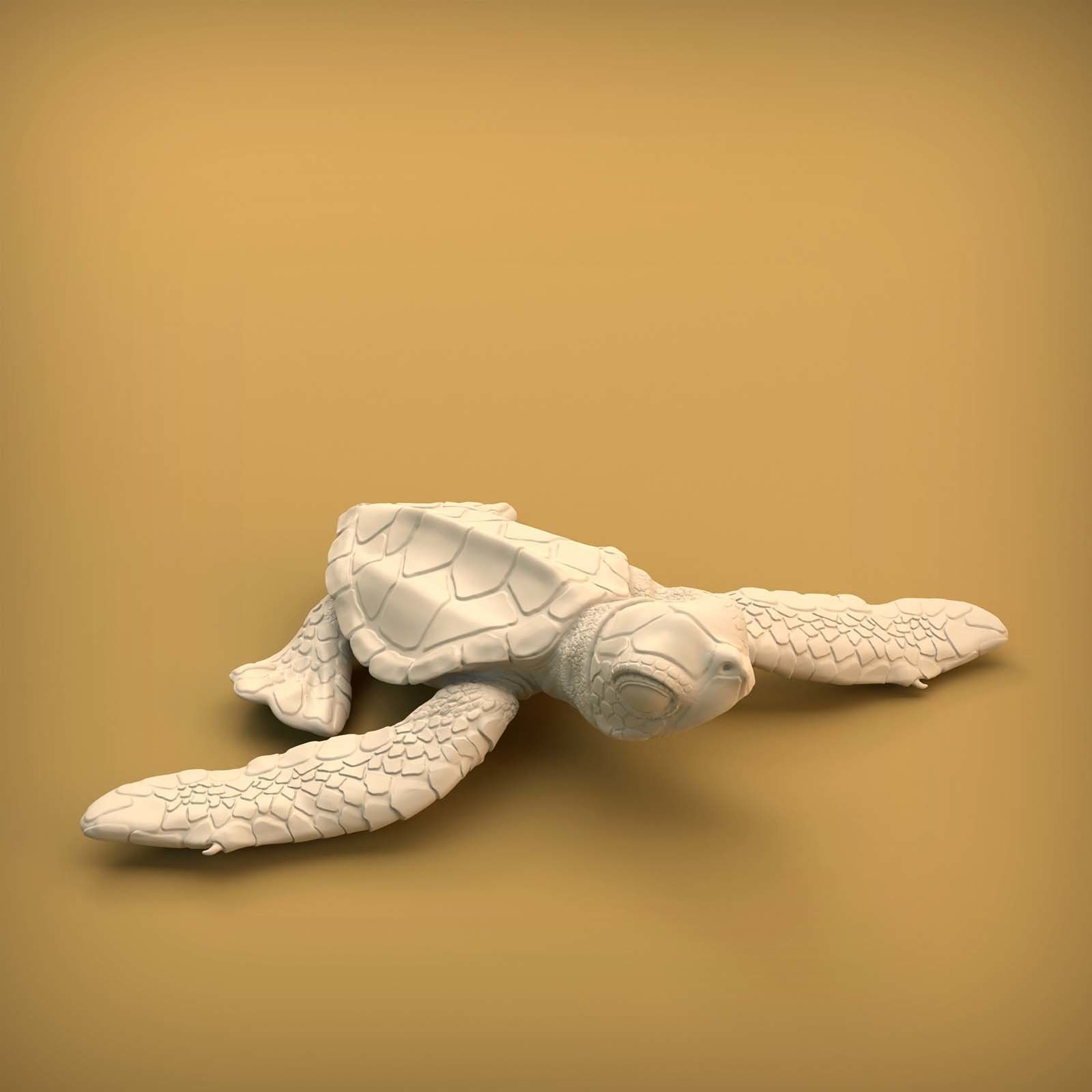Sea Turtle Hatchling for 3D printing 3D print model_11