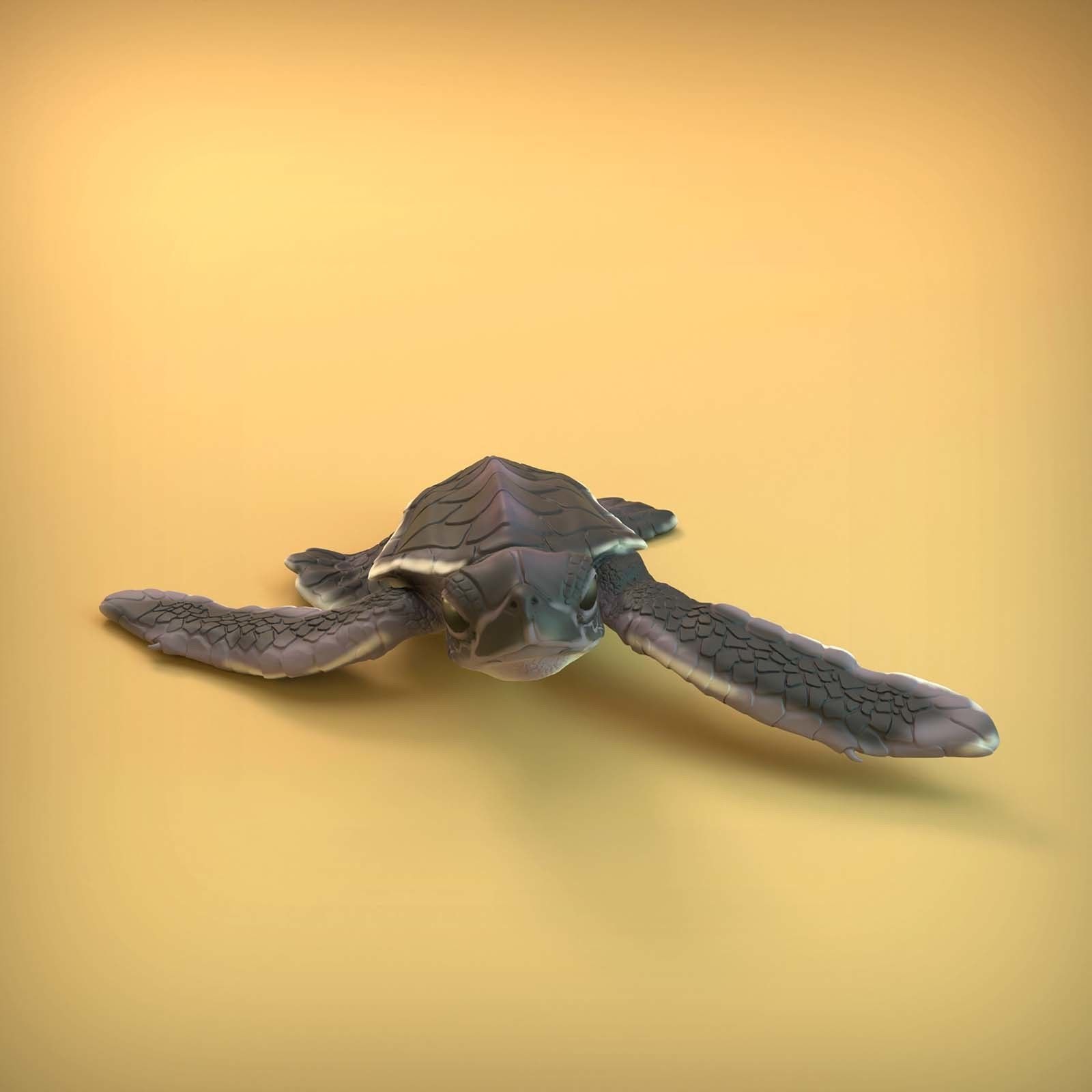 Sea Turtle Hatchling for 3D printing 3D print model_10